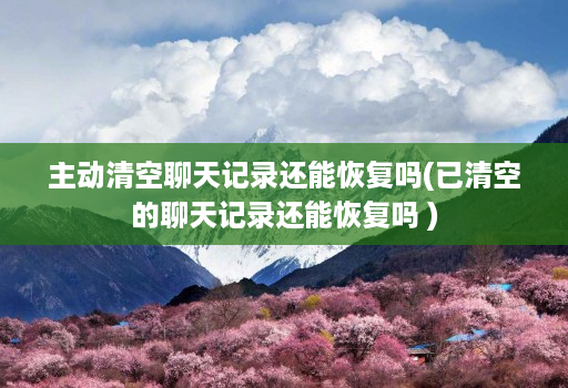 主动清空聊天记录还能恢复吗(已清空的聊天记录还能恢复吗 )