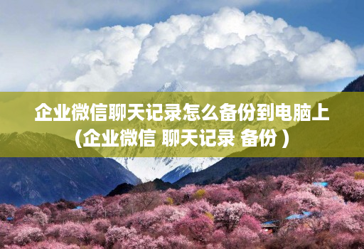 企业微信聊天记录怎么备份到电脑上(企业微信 聊天记录 备份 )