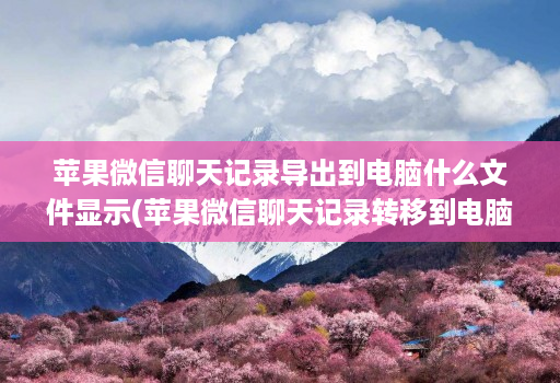 苹果微信聊天记录导出到电脑什么文件显示(苹果微信聊天记录转移到电脑文件里 )