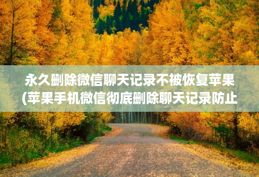 永久删除微信聊天记录不被恢复苹果(苹果手机微信彻底删除聊天记录防止被恢 )