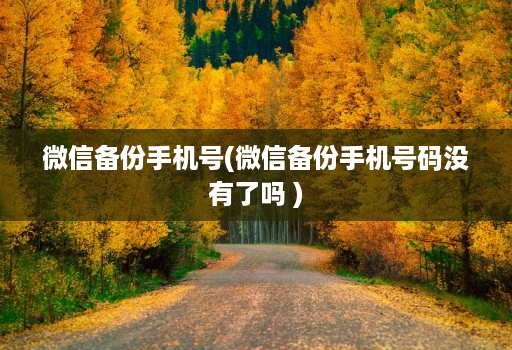 微信备份手机号(微信备份手机号码没有了吗 )