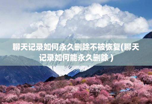 聊天记录如何永久删除不被恢复(聊天记录如何能永久删除 ) 聊天记录如何永久删除不被恢复(聊天记录如何能永久删除 )