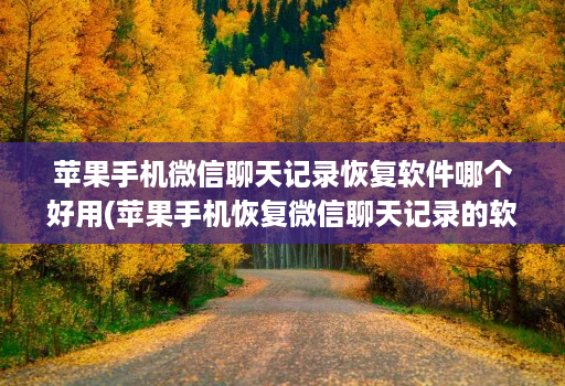 苹果手机微信聊天记录恢复软件哪个好用(苹果手机恢复微信聊天记录的软件 ) 苹果手机微信聊天记录恢复软件哪个好用(苹果手机恢复微信聊天记录的软件 )