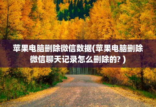 苹果电脑删除微信数据(苹果电脑删除微信聊天记录怎么删除的? )