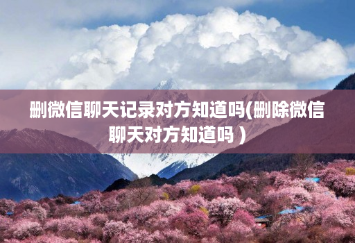 删微信聊天记录对方知道吗(删除微信聊天对方知道吗 )