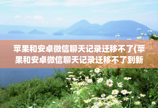 苹果和安卓微信聊天记录迁移不了(苹果和安卓微信聊天记录迁移不了到新手机 )