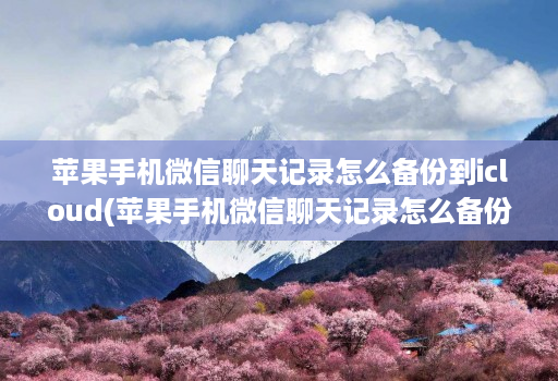 苹果手机微信聊天记录怎么备份到icloud(苹果手机微信聊天记录怎么备份到云端 )