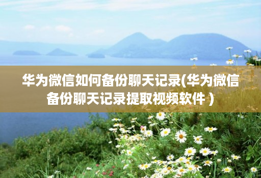 华为微信如何备份聊天记录(华为微信备份聊天记录提取视频软件 )