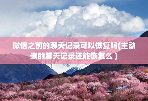 微信之前的聊天记录可以恢复吗(主动删的聊天记录还能恢复么 )