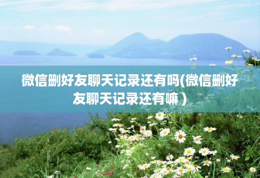 微信删好友聊天记录还有吗(微信删好友聊天记录还有嘛 )