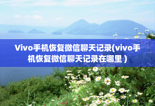 Vivo手机恢复微信聊天记录(vivo手机恢复微信聊天记录在哪里 )