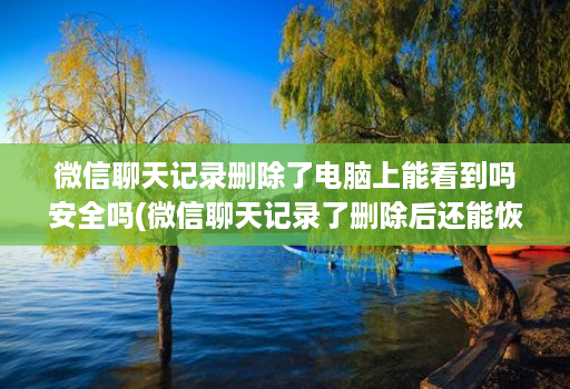 微信聊天记录删除了电脑上能看到吗安全吗(微信聊天记录了删除后还能恢复吗 )