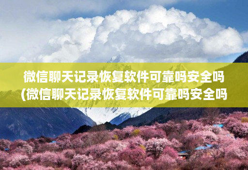 微信聊天记录恢复软件可靠吗安全吗(微信聊天记录恢复软件可靠吗安全吗 )