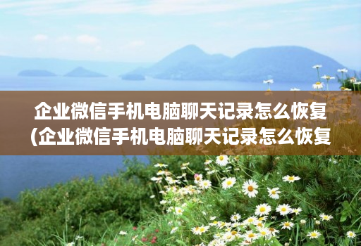 企业微信手机电脑聊天记录怎么恢复(企业微信手机电脑聊天记录怎么恢复正常 )