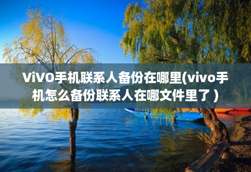 ViVO手机联系人备份在哪里(vivo手机怎么备份联系人在哪文件里了 ) ViVO手机联系人备份在哪里(vivo手机怎么备份联系人在哪文件里了 )