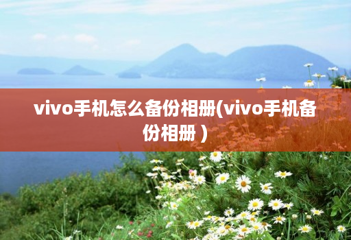 vivo手机怎么备份相册(vivo手机备份相册 )