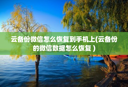 云备份微信怎么恢复到手机上(云备份的微信数据怎么恢复 ) 云备份微信怎么恢复到手机上(云备份的微信数据怎么恢复 )