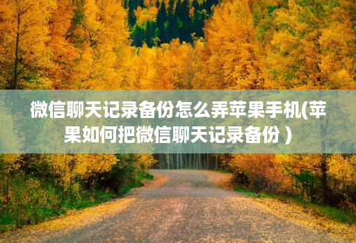 微信聊天记录备份怎么弄苹果手机(苹果如何把微信聊天记录备份 )