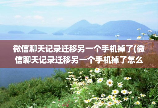 微信聊天记录迁移另一个手机掉了(微信聊天记录迁移另一个手机掉了怎么找回 )