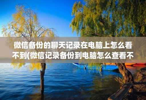 微信备份的聊天记录在电脑上怎么看不到(微信记录备份到电脑怎么查看不了 ) 微信备份的聊天记录在电脑上怎么看不到(微信记录备份到电脑怎么查看不了 )