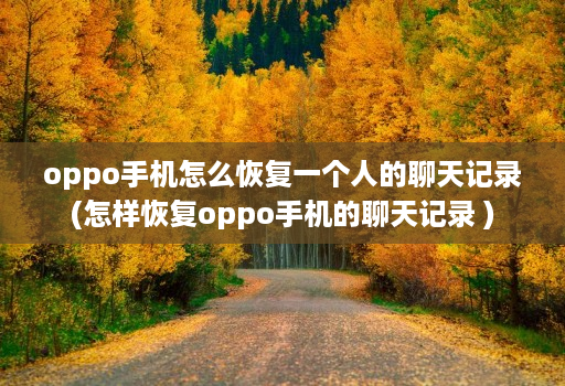 oppo手机怎么恢复一个人的聊天记录(怎样恢复oppo手机的聊天记录 )