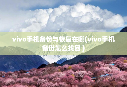 vivo手机备份与恢复在哪(vivo手机备份怎么找回 ) vivo手机备份与恢复在哪(vivo手机备份怎么找回 )