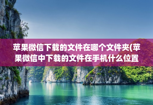 苹果微信下载的文件在哪个文件夹(苹果微信中下载的文件在手机什么位置 )