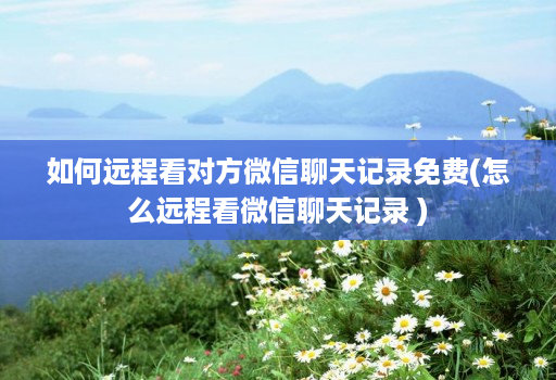 如何远程看对方微信聊天记录免费(怎么远程看微信聊天记录 )
