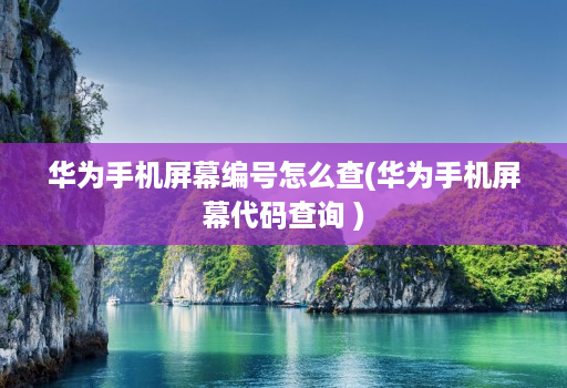 华为手机屏幕编号怎么查(华为手机屏幕代码查询 )