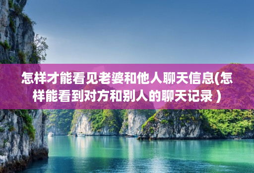 怎样才能看见老婆和他人聊天信息(怎样能看到对方和别人的聊天记录 )
