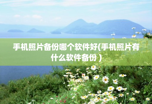 手机照片备份哪个软件好(手机照片有什么软件备份 )