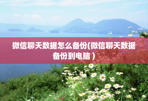 微信聊天数据怎么备份(微信聊天数据备份到电脑 )
