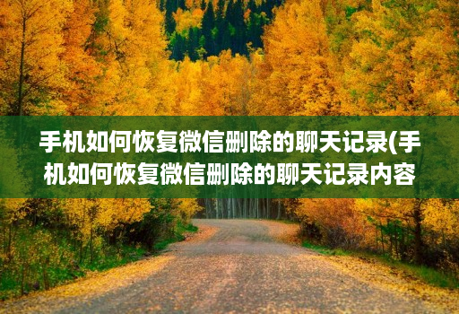 手机如何恢复微信删除的聊天记录(手机如何恢复微信删除的聊天记录内容 )