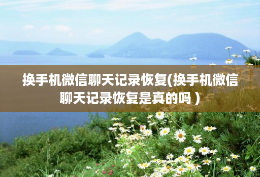 换手机微信聊天记录恢复(换手机微信聊天记录恢复是真的吗 )