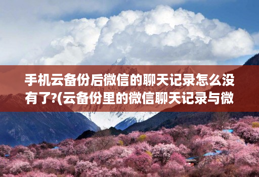 手机云备份后微信的聊天记录怎么没有了?(云备份里的微信聊天记录与微信同步吗 )