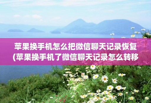 苹果换手机怎么把微信聊天记录恢复(苹果换手机了微信聊天记录怎么转移 )