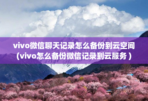 vivo微信聊天记录怎么备份到云空间(vivo怎么备份微信记录到云服务 )