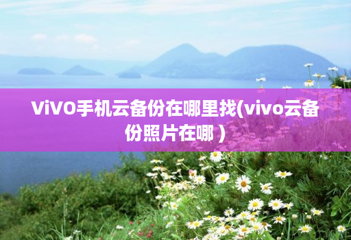 ViVO手机云备份在哪里找(vivo云备份照片在哪 )