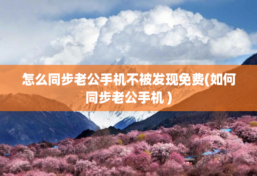 怎么同步老公手机不被发现免费(如何同步老公手机 )