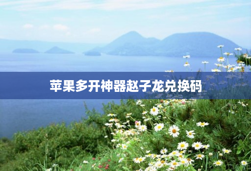 苹果多开神器赵子龙兑换码