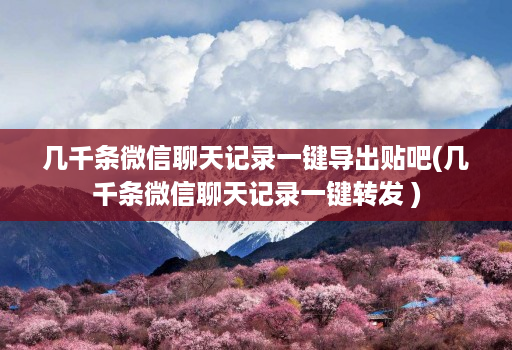 几千条微信聊天记录一键导出贴吧(几千条微信聊天记录一键转发 )