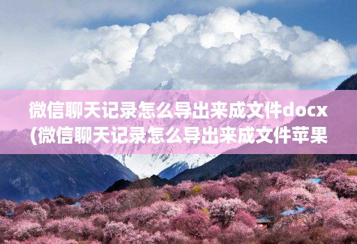 微信聊天记录怎么导出来成文件docx(微信聊天记录怎么导出来成文件苹果 )