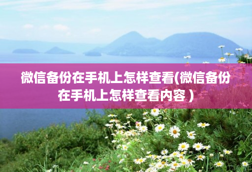 微信备份在手机上怎样查看(微信备份在手机上怎样查看内容 ) 微信备份在手机上怎样查看(微信备份在手机上怎样查看内容 )