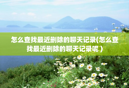 怎么查找最近删除的聊天记录(怎么查找最近删除的聊天记录呢 )
