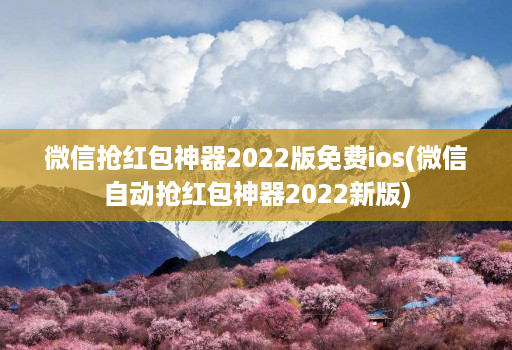 微信抢荭包神器2022版免费ios(微信自动抢荭包神器2022新版) 微信抢荭包神器2022版免费ios(微信自动抢荭包神器2022新版)