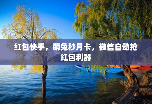 红包快手,萌兔秒月卡,微信自动抢红包利器