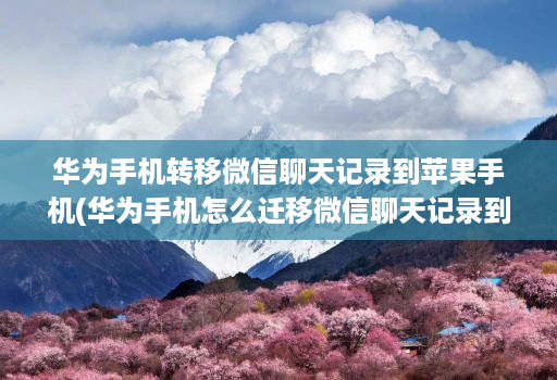 华为手机转移微信聊天记录到苹果手机(华为手机怎么迁移微信聊天记录到苹果手机 )