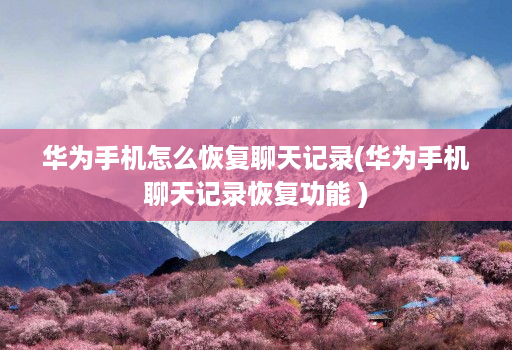 华为手机怎么恢复聊天记录(华为手机聊天记录恢复功能 ) 华为手机怎么恢复聊天记录(华为手机聊天记录恢复功能 )