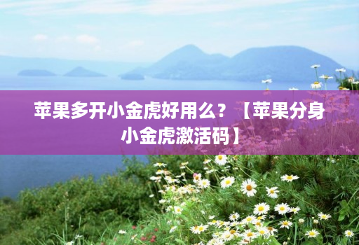 苹果多开小金虎好用么?【苹果分身小金虎激活码】