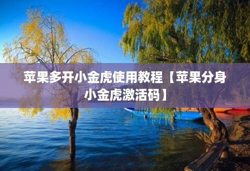 苹果多开小金虎使用教程【苹果分身小金虎激活码】